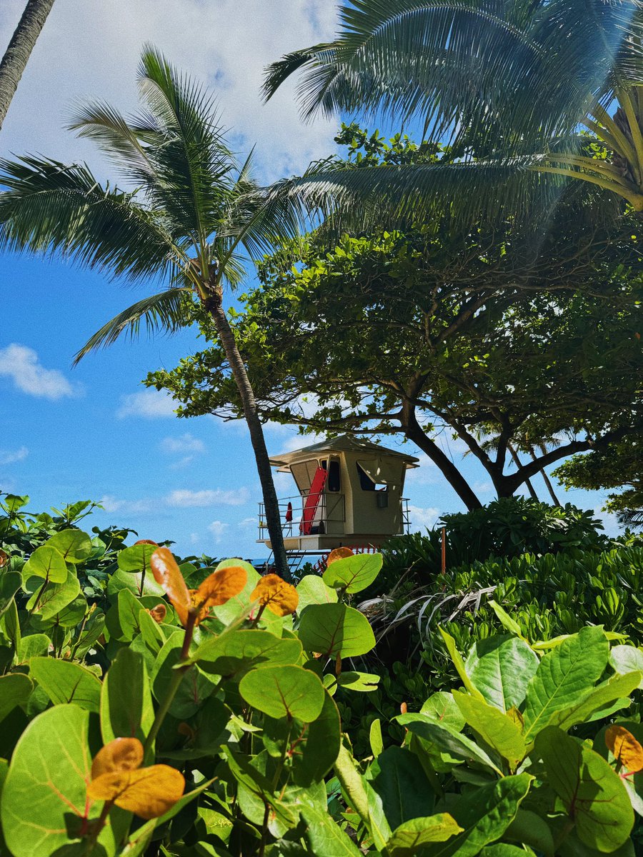 Mitch Jacobs tweet media