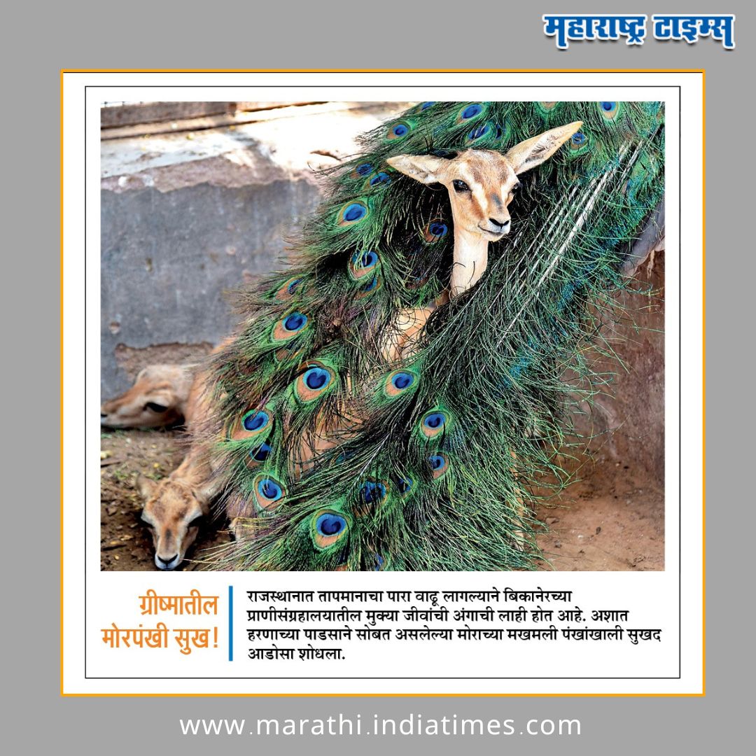 mataonline's tweet photo. या फोटोला काय कॅप्शन द्याल?
#PhotoCaption #Weather #MarathiNews #news https://t.co/6g2FMVzxxI