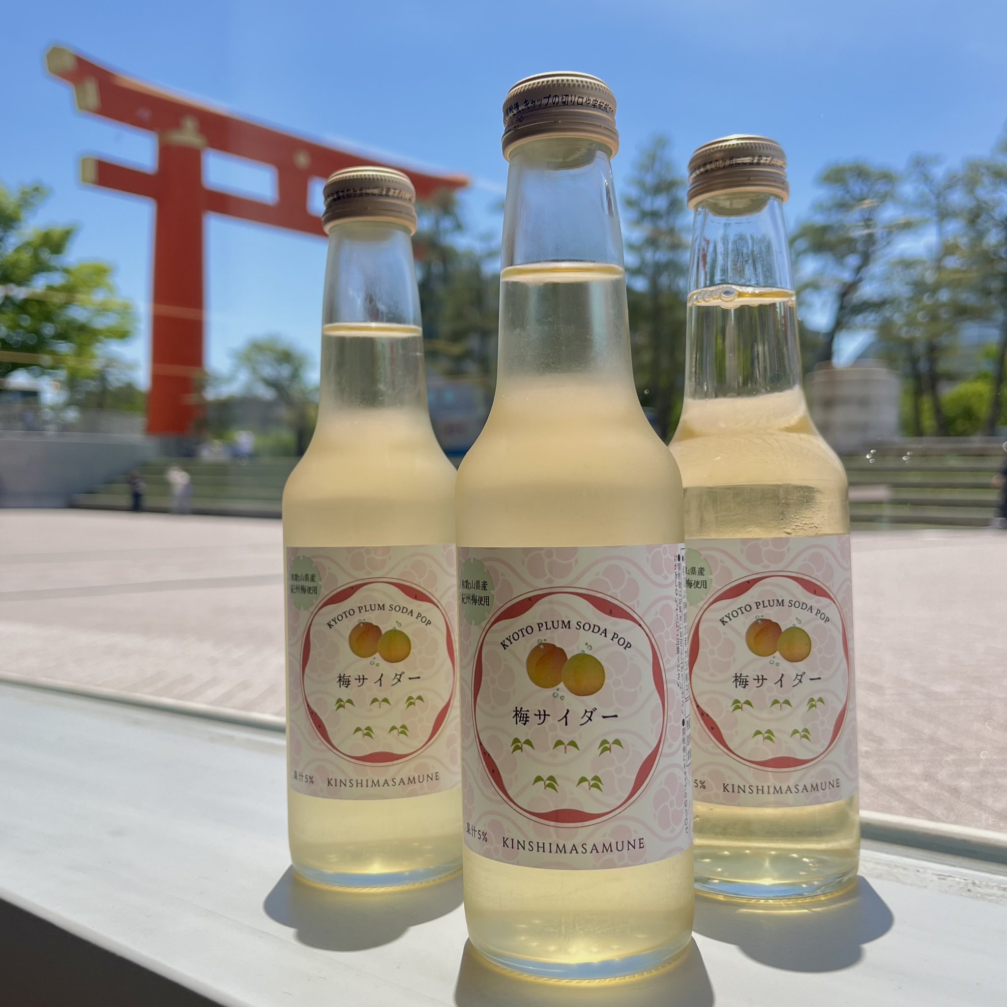 ART RECTANGLE KYOTO в X: „🥤『キンシ正宗』サイダー入荷の