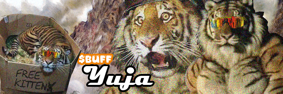 YUJAcoin's tweet photo. banner is ready for rayray

buff https://t.co/CUecZ9LtTr