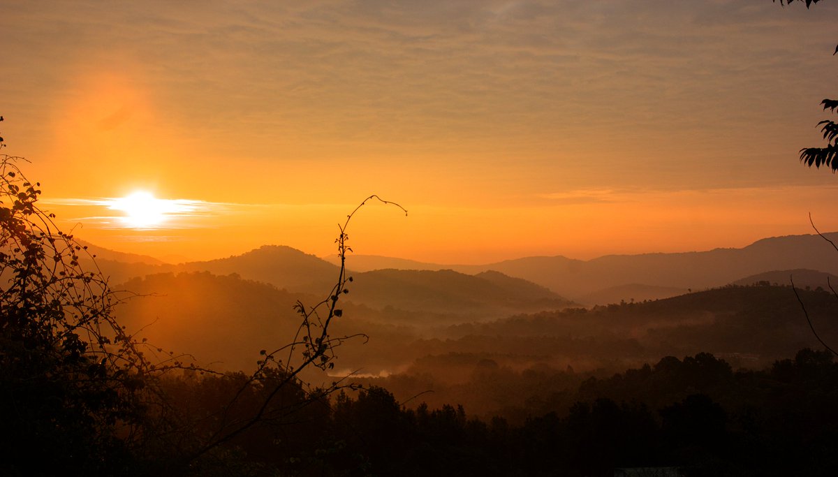 Sunrise from BR hills, from archive 

#ThePhotoHour #sunrise #karnataka #brhills @KarnatakaWorld