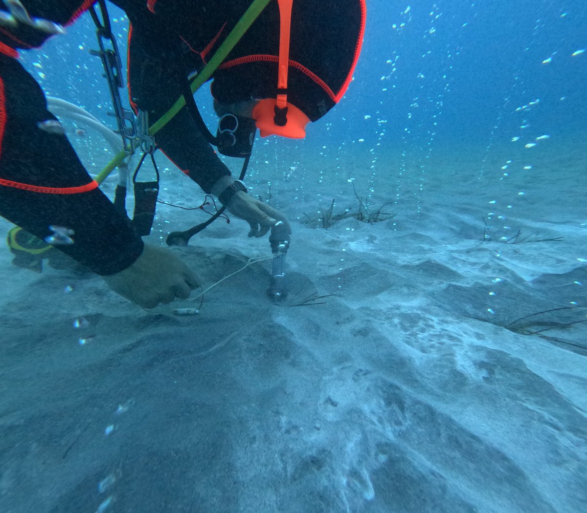 Dr Lars-Eric Heimbürger-Boavida tweet media