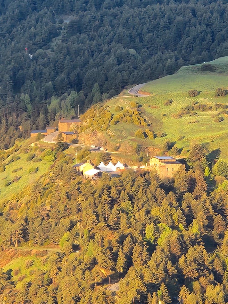 Vull desitjar a totes les Lauredianes i Lauredians un molt bon dia de Canòlich.