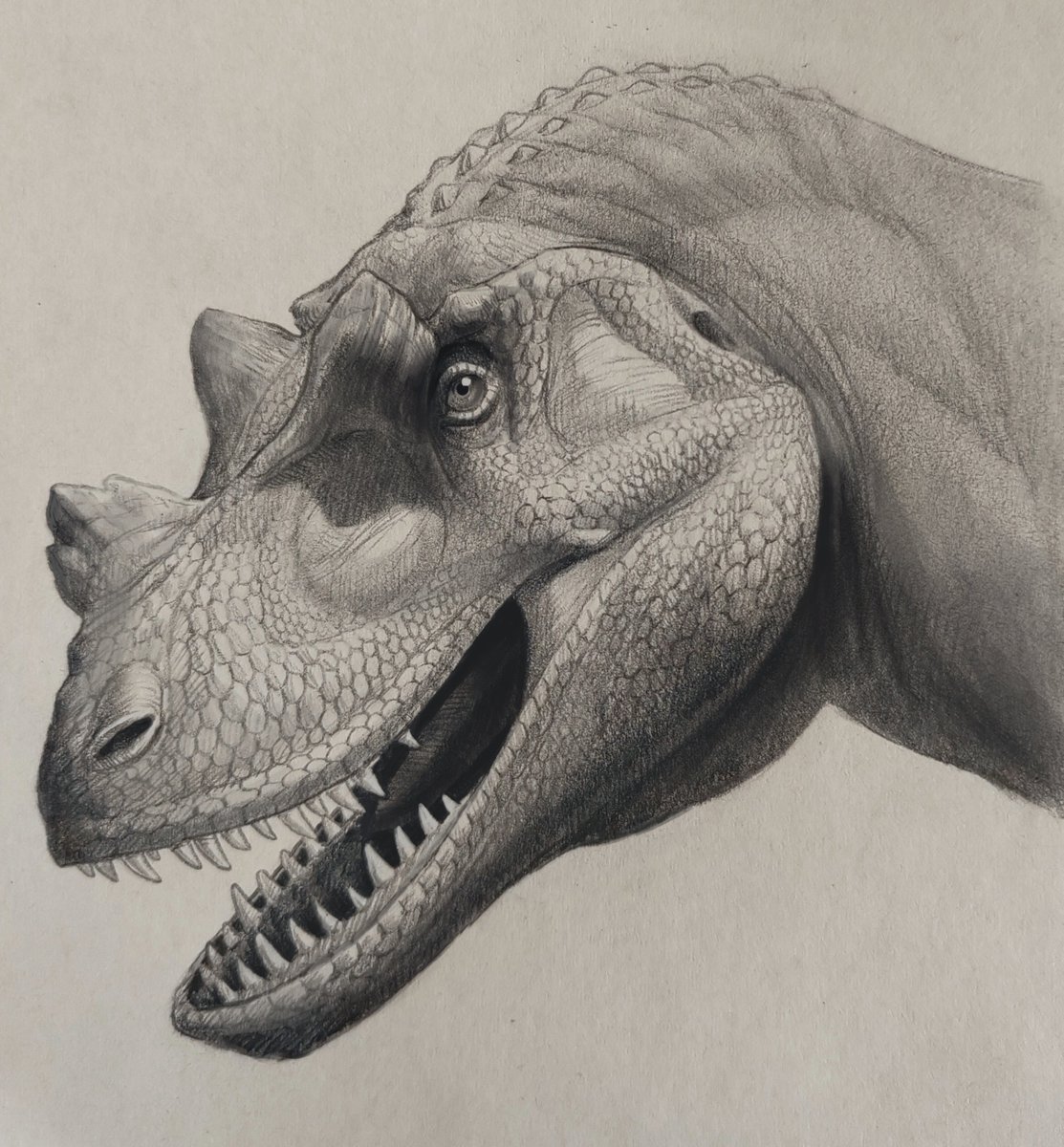 BUTSTQc1fH5E0QB's tweet photo. Two ceratosaurus with different style.Which one do you prefer?#dinosaur #paleoart #ceratosaurus https://t.co/Bhz3w0I0rt