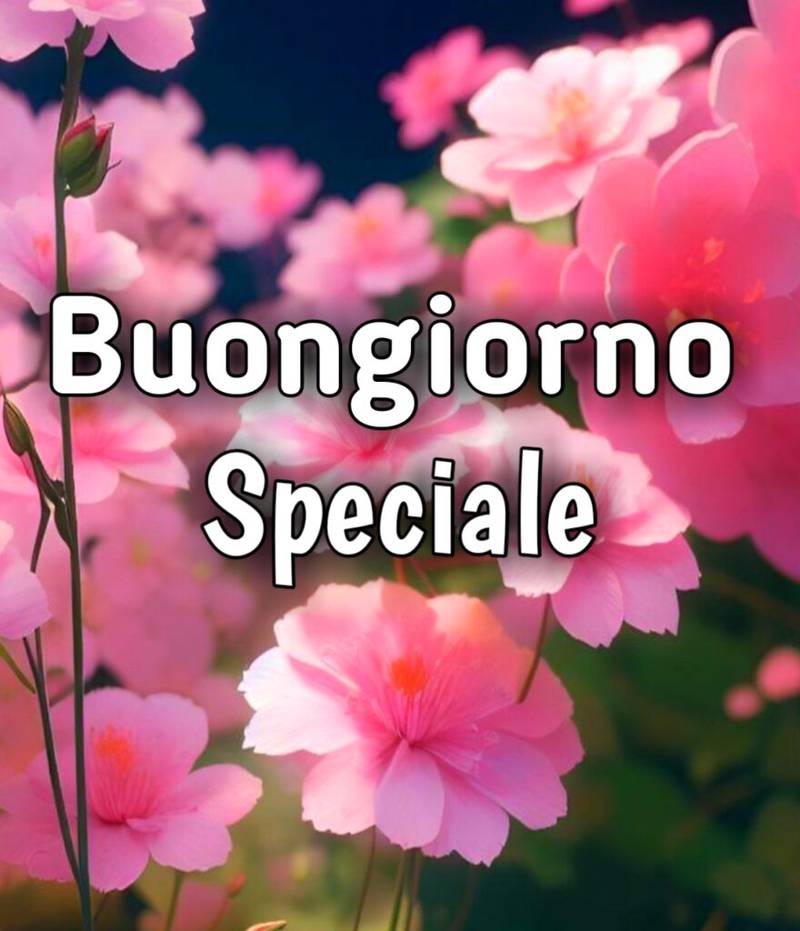 AngeloGemelli7's tweet photo. @MariaRo71474767 7.16 https://t.co/wp9bQX4tOK