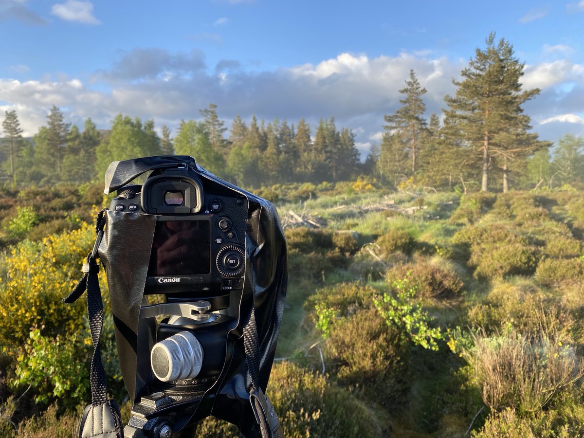 Mark Hamblin tweet media