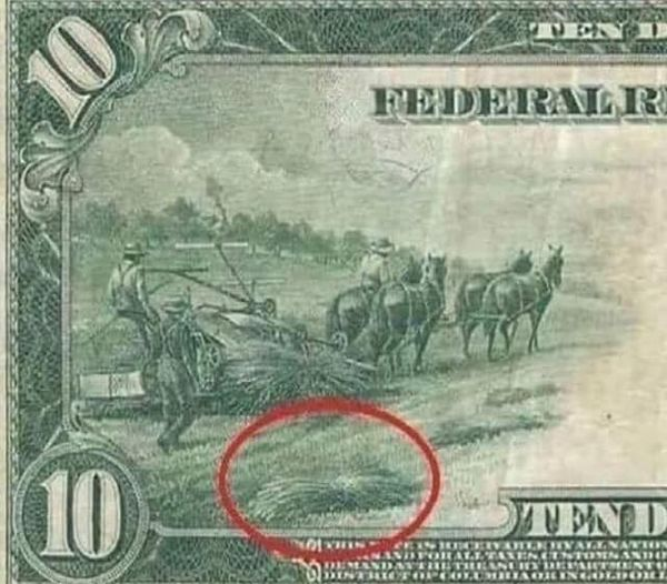 KENEVİR MUCİZESİ
Fotoğraf: Yıl 1914, I.Dünya savaşı yılları ve Amerikan doları üzerinde “Kenevir” tarımı yapan çiftçiler…
Bunu aklınızın bir köşesinde tutunuz ve okumaya devam ediniz.
Endüstriyel Kenevir sadece bir tarım bitkisi değildir!
Petrolün ve doların panzehridir!
KENEVİR