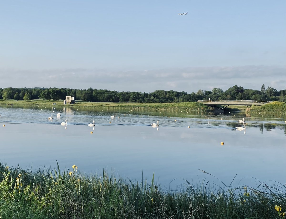 WendyGoodier's tweet photo. @nsr_uk swans checking all lanes for you on Saturday morning https://t.co/eN8fvBsCdi