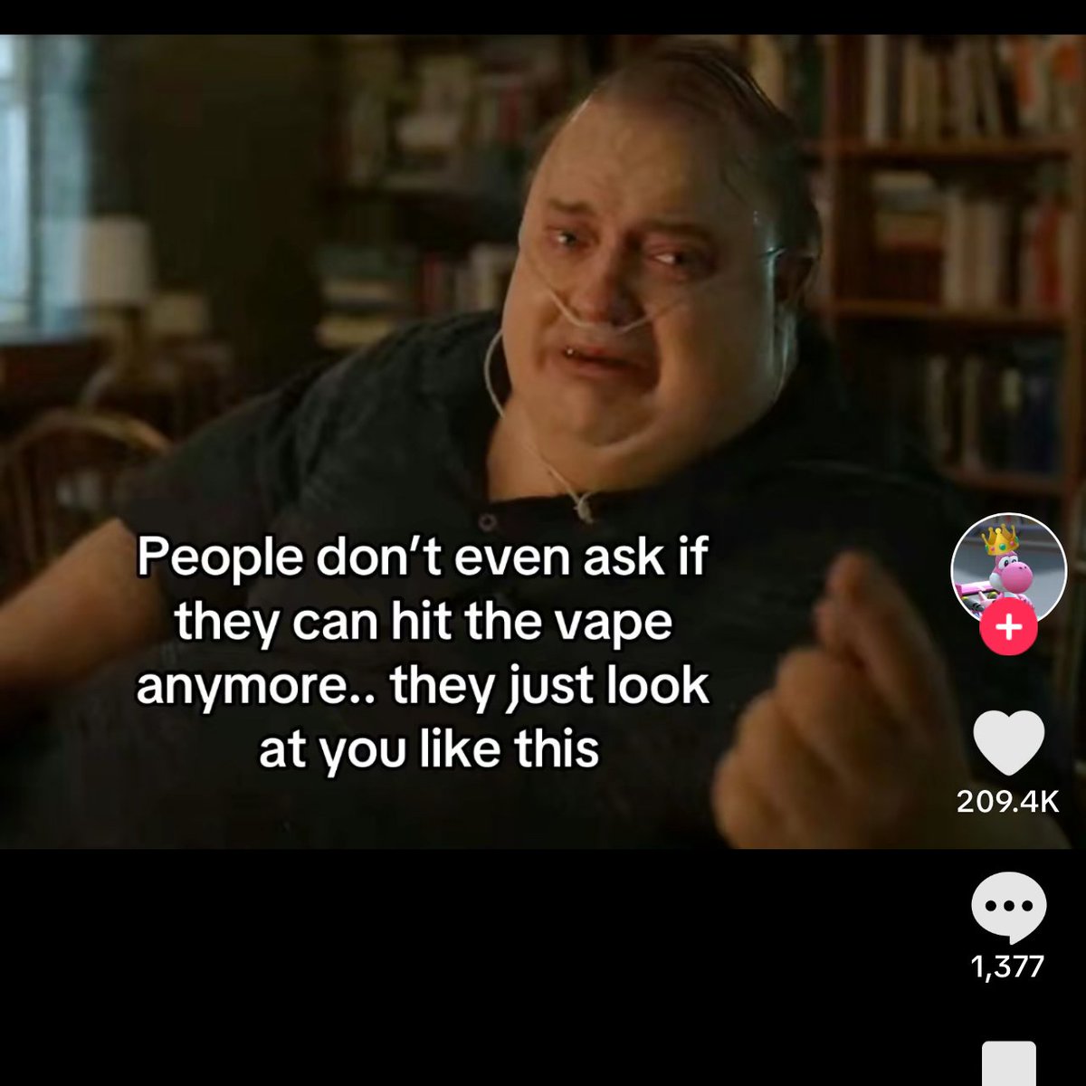 Wild TikToks (@wildtiktokss) on Twitter photo 