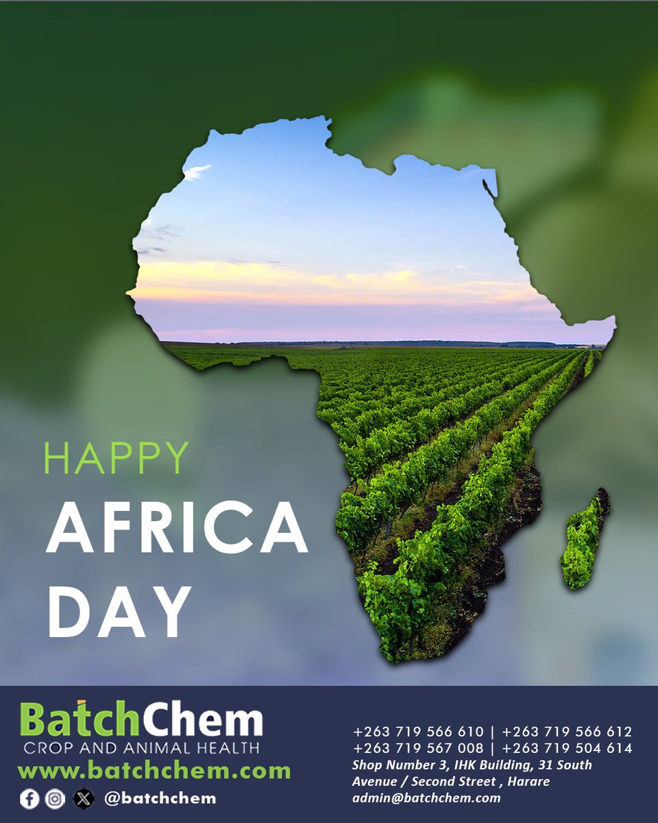 Happy Africa Day!
May the diverse cultures, rich heritage and vibrant spirit of Africa continue to inspire us all 🌟

📞 Chat with us on WhatsApp: wa.me/263719566612