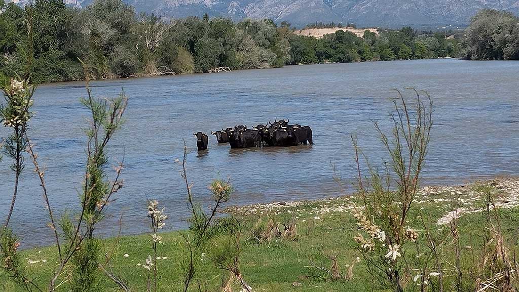 Setmanari L'Ebre tweet media