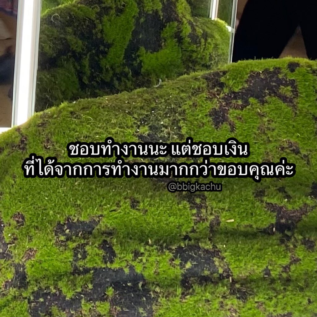 bbigkachu's tweet photo. https://t.co/Vj7yWWk41n
