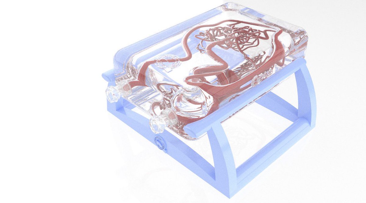 Our new  in vitro AVM model 12 
For endovascular training, research and material testing. 
See us at #linncparis2024 Startup Booth 
#avm #research #AI #endovascular
