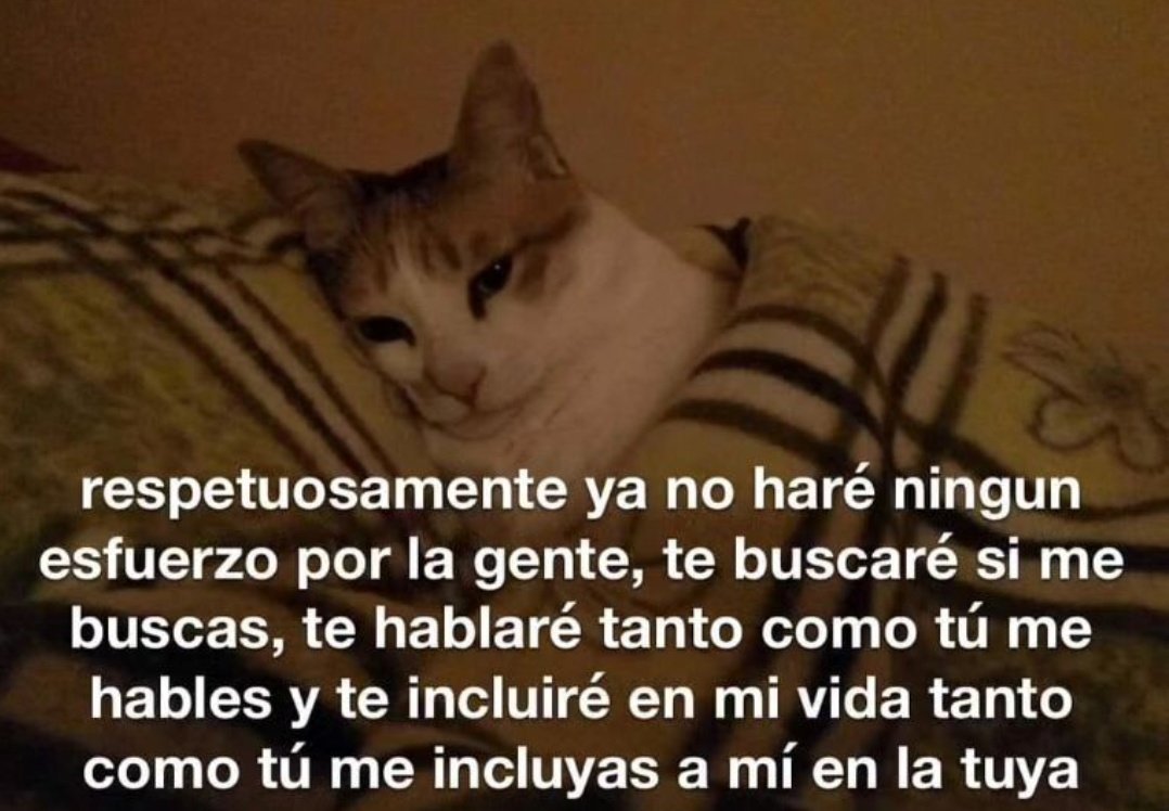 En Júpiter (@en_jupiter_) on Twitter photo 