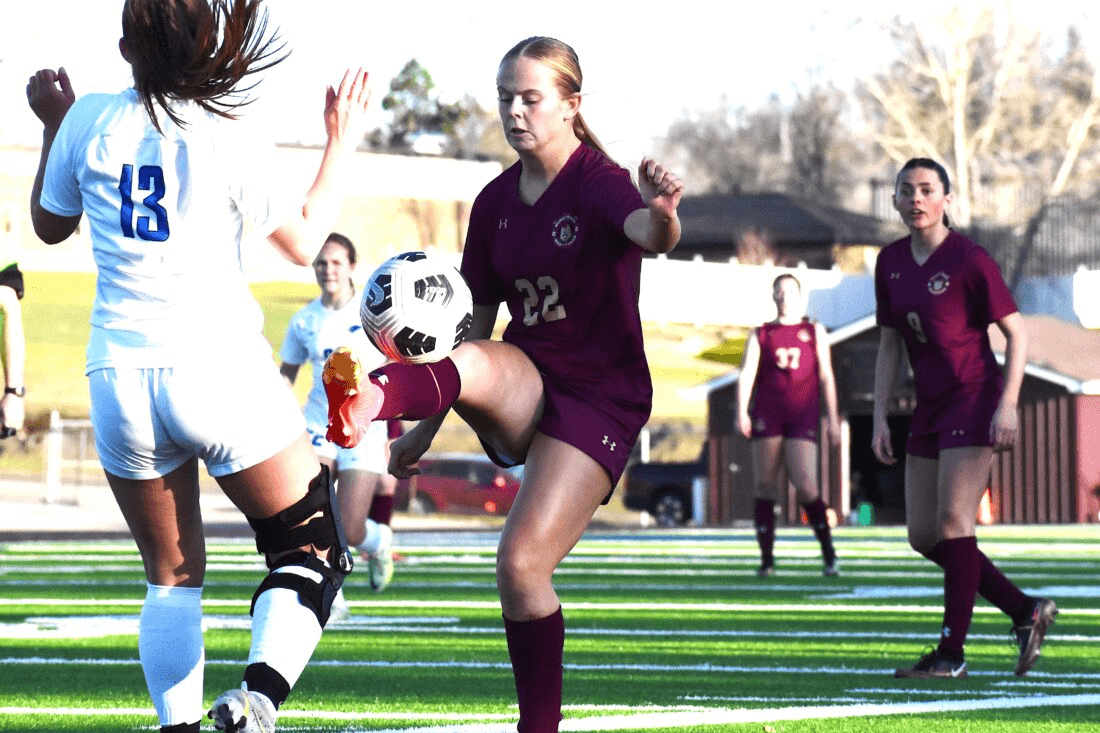 WDA Sports tweet media