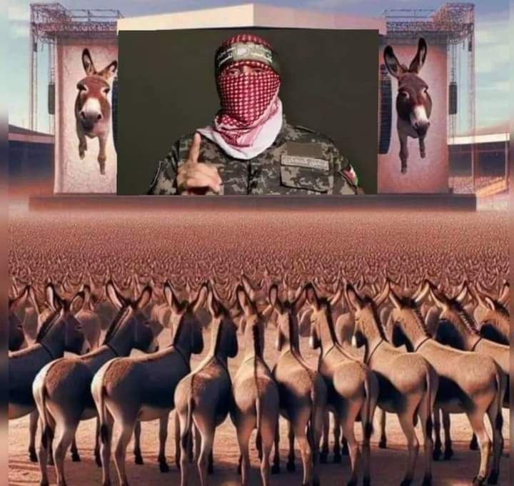 روني شالوم Ronny Shalom 🇮🇱 tweet media