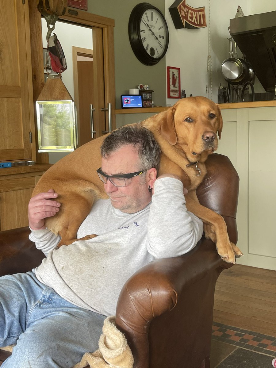 I can only assume that your dogs are a bad influence <a href="/AndyWoodturner/">Andy Coates</a> 🤔