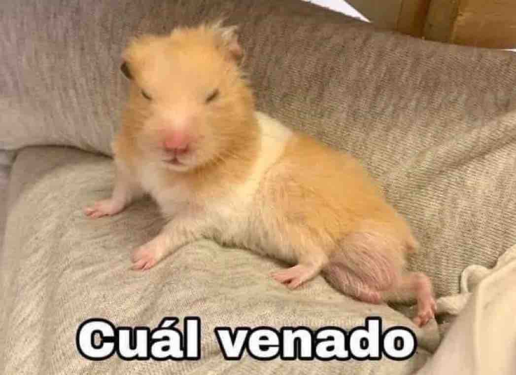 Mi mamá: Andas bien desvelado verdad?

Yo: