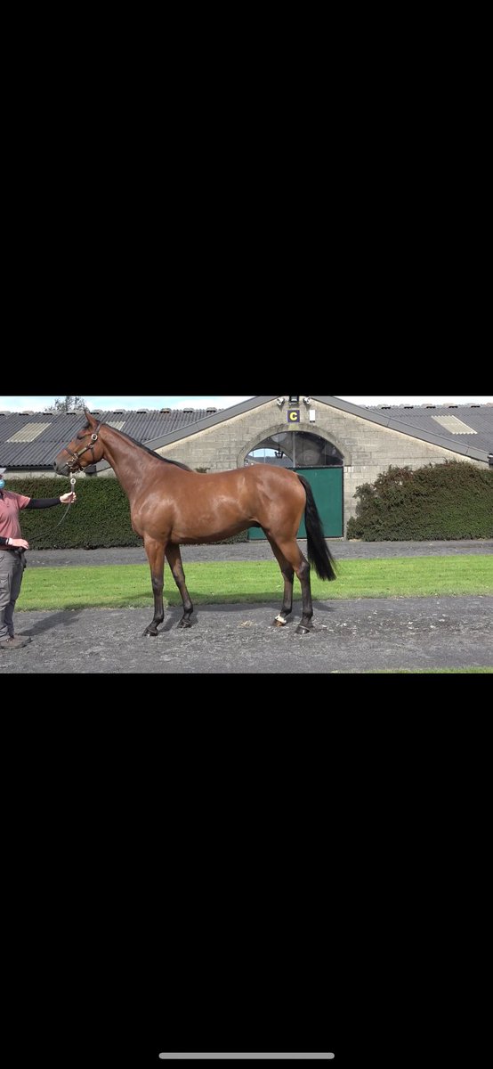 Clonbonny Stud (@clonbonnystud) on Twitter photo Well done to winning connections of Jet Setting Jim (<a href="/DougtaylorOne/">JetAway</a> ) in <a href="/ListowelRaces/">Listowel Races</a> ridden by <a href="/Michael_OSull/">Michael O'Sullivan</a> sold <a href="/Tattersalls_ie/">Tattersalls Ireland</a> great to see him winning again Well done to winning connections of Jet Setting Jim (<a href="/DougtaylorOne/">JetAway</a> ) in <a href="/ListowelRaces/">Listowel Races</a> ridden by <a href="/Michael_OSull/">Michael O'Sullivan</a> sold <a href="/Tattersalls_ie/">Tattersalls Ireland</a> great to see him winning again