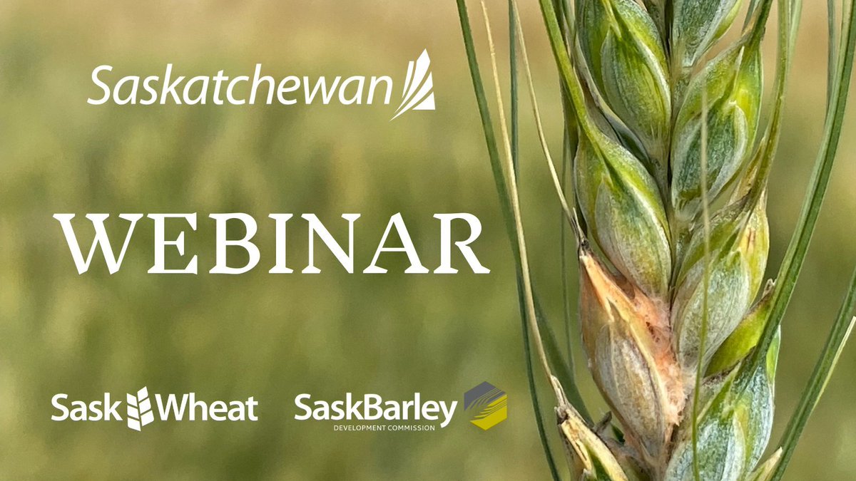 Join us, @SaskWheat & @SKAgriculture to learn how to use the recently released prairie-wide Fusarium Head Blight Risk Maps 

Navigating the Prairie-wide FHB Risk Maps
June 4, 2024 - 9:00 AM - 10:00 AM CST
register.gotowebinar.com/register/11771…

#Webinar #FHBRiskMaps #SaskAg #Spray24 #AgLearning