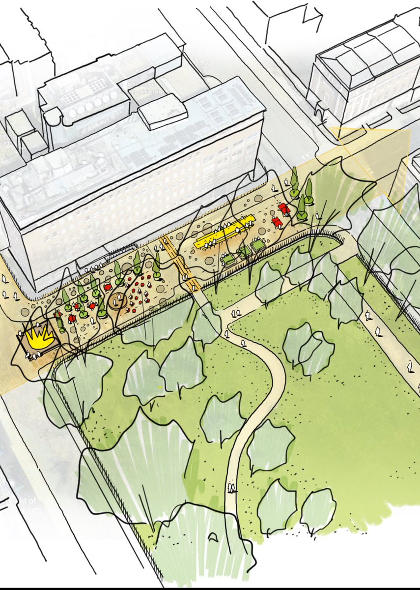 Cannon Ivers tweet media