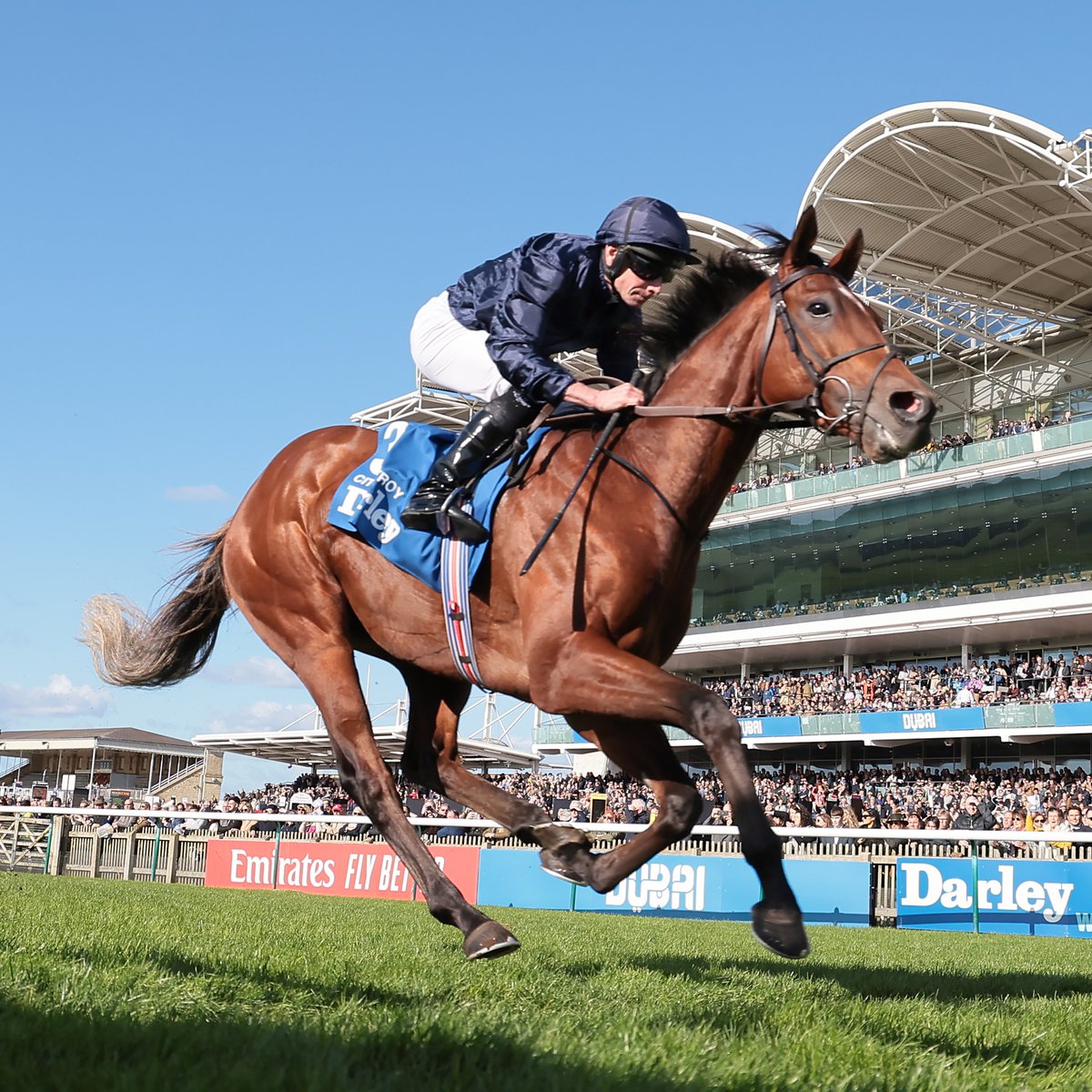 RacingPost's tweet photo. 🏆 CITY OF TROY WINS THE 2024 BETFRED DERBY! 🏆 https://t.co/lXouLdyBM4