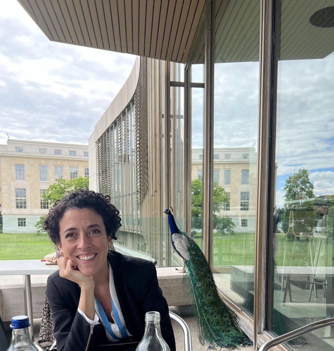 Estelle Charlu Willie tweet media