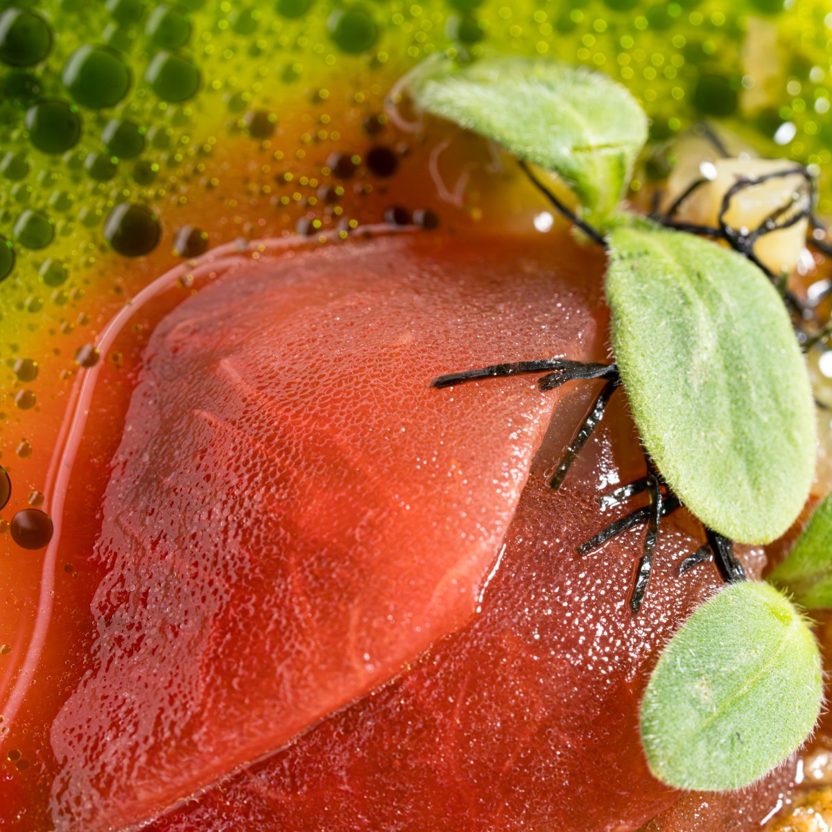 Melon, Wakame, Light soya 🍉 🌱 
A dish bursting with vibrant colours and rich flavours. Have you had the pleasure of experiencing this #vegan delight during our Green Dimensions Menu yet?