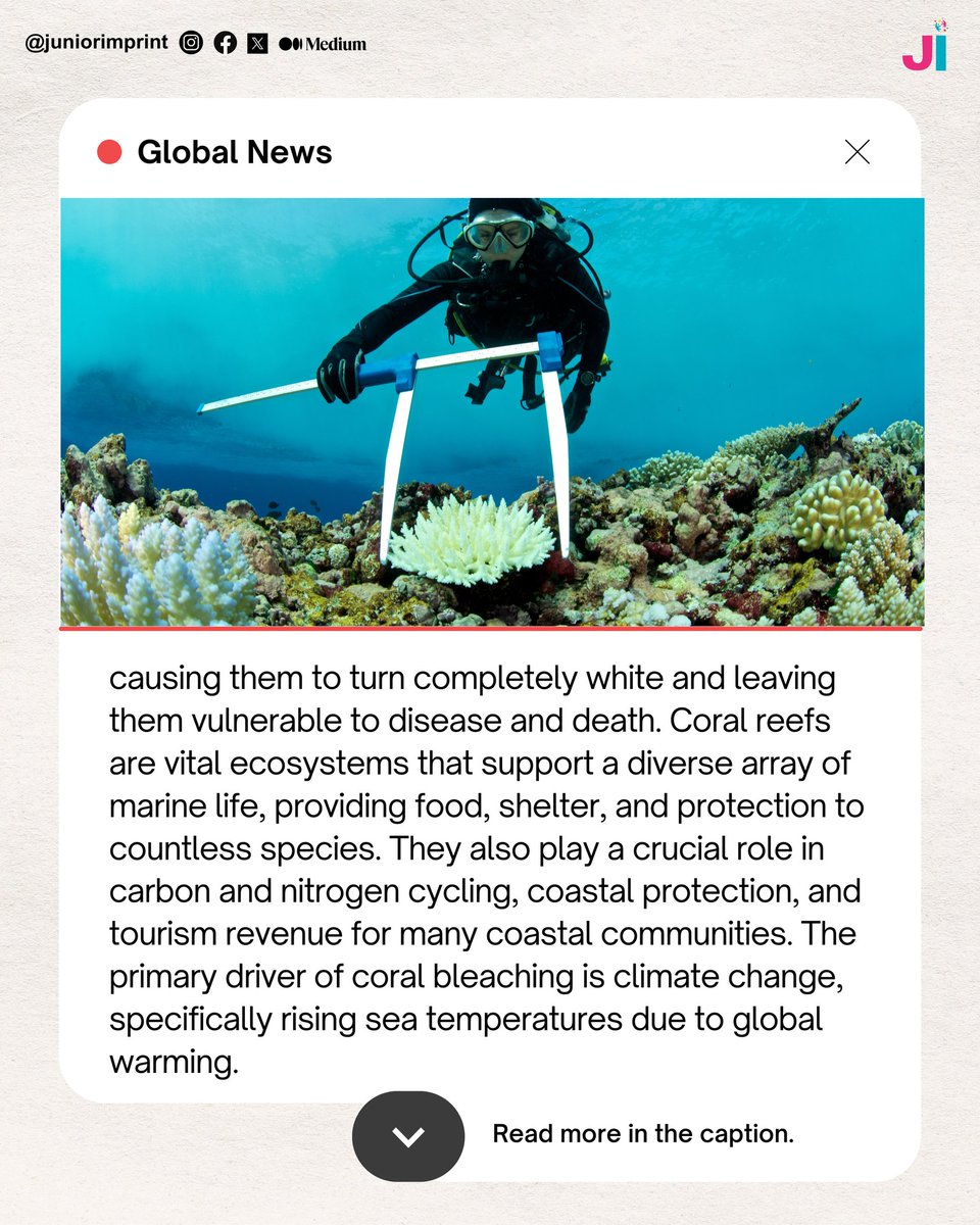 juniorimprint's tweet photo. Read more....

Source-
https://t.co/kqVnFV9mzZ
https://t.co/FQm8sIz6VL

#SaveTheReefs #CoralBleaching #ClimateChange #OceanConservation #ProtectOurOceans #MarineEcosystems #GlobalWarming
#SustainableFuture #ReefRestoration
#ActOnClimate https://t.co/0mxGj0EtsN