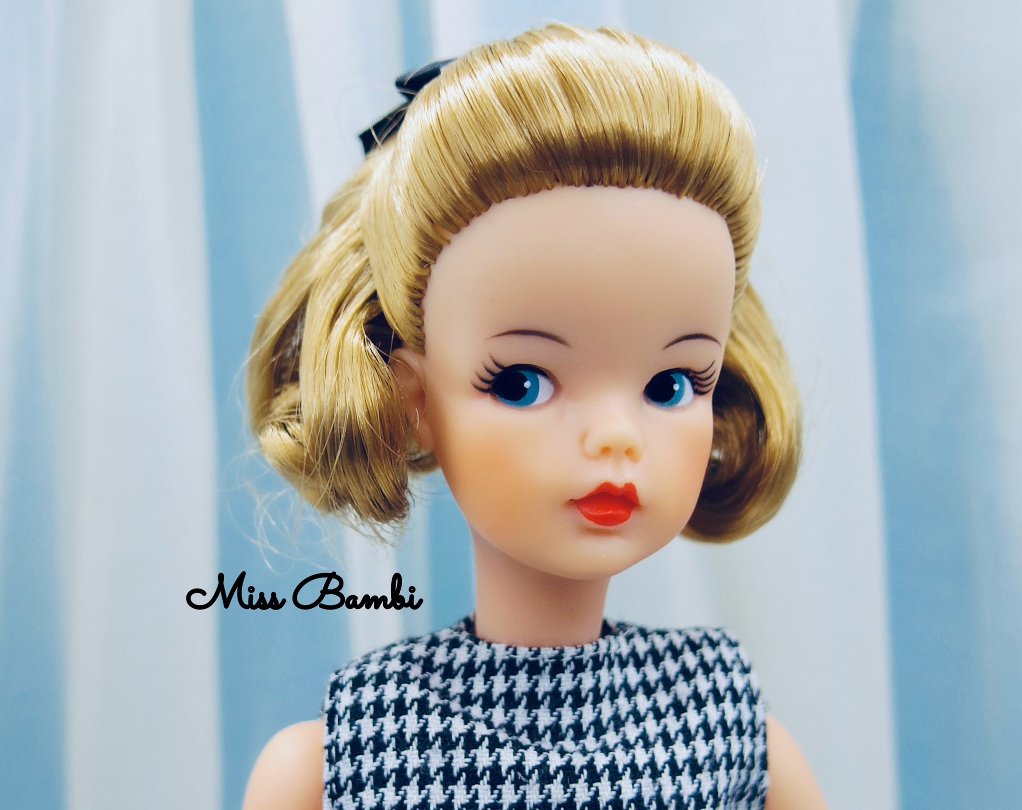 希少 タミーちゃんのカタログ サイドパート掲載