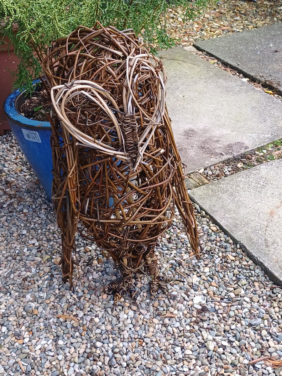 Murray & Friends (@burrowingbolt) on Twitter photo PA has been on a willow sculpture course today with the amazing <a href="/twigtwisters/">Sarah GallagherHayes</a> so we have a new 🦉 in the garden 😁🦉😁 #havingahoot #creativity #Cheshire #willow #twigtwisters PA has been on a willow sculpture course today with the amazing <a href="/twigtwisters/">Sarah GallagherHayes</a> so we have a new 🦉 in the garden 😁🦉😁 #havingahoot #creativity #Cheshire #willow #twigtwisters