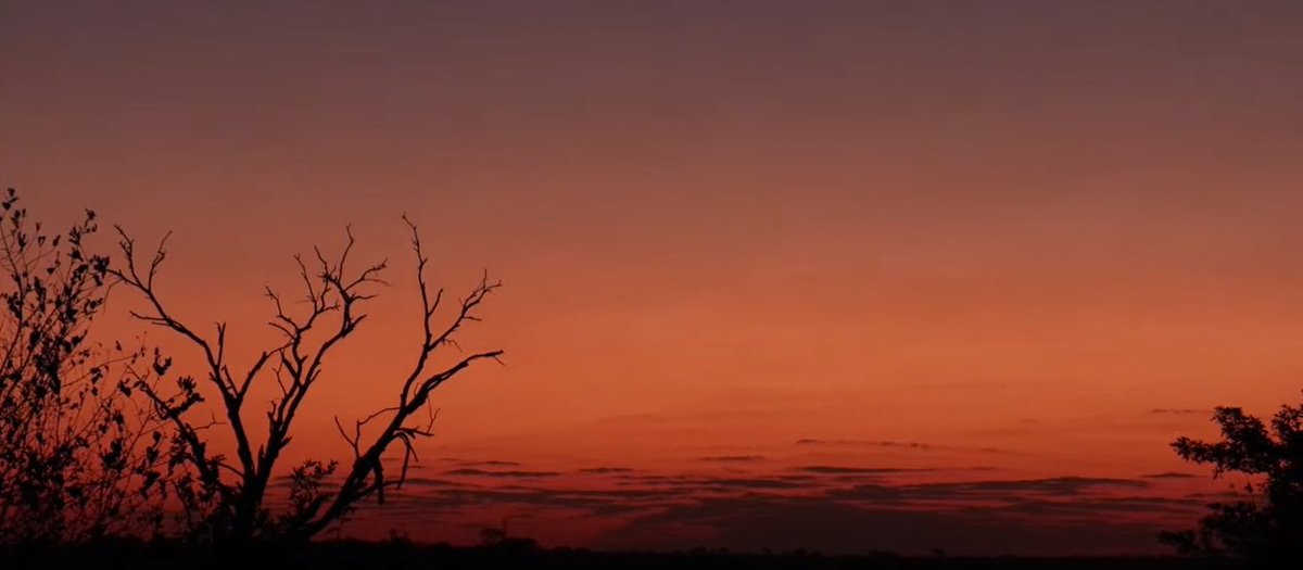 stellar sunset <a href="/WildEarth/">WildEarth</a> #WildEarth