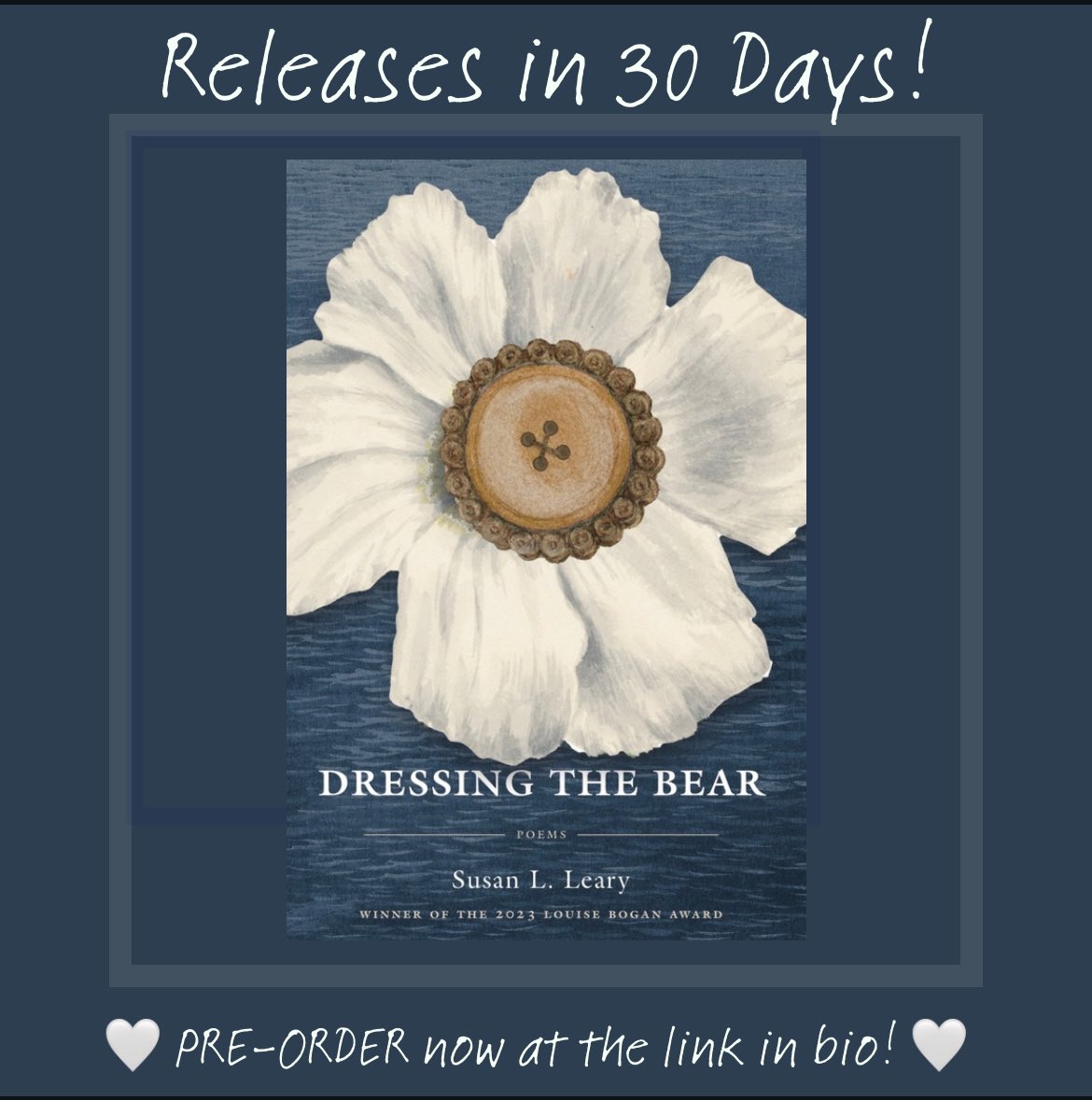 And so the COUNTDOWN begins! DRESSING THE BEAR is out with @triohousepress in just 30 days! What a wild dream—AND, if you pre-order before June 12th, you’ll get your copy in time for the Trio House Press 2024 Poetry Title Release Reading, live-streamed on July 1, 7pm EST! ⬇️⬇️⬇️