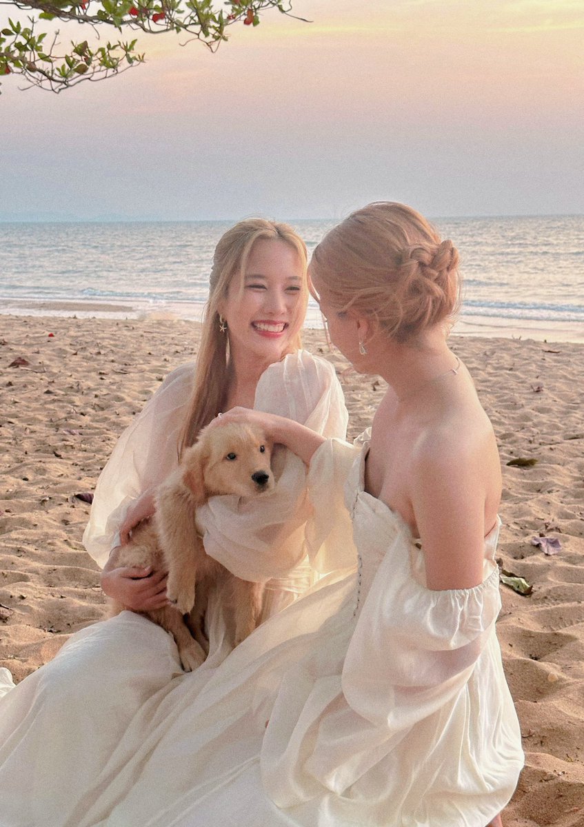 Hamtaro ___M. 🌷 tweet media