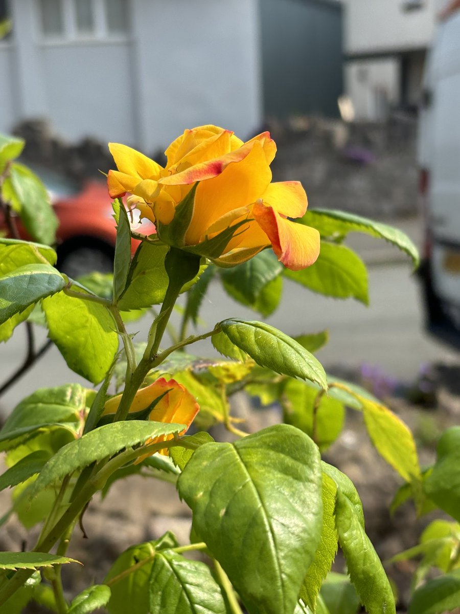 eunice_r's tweet image. 