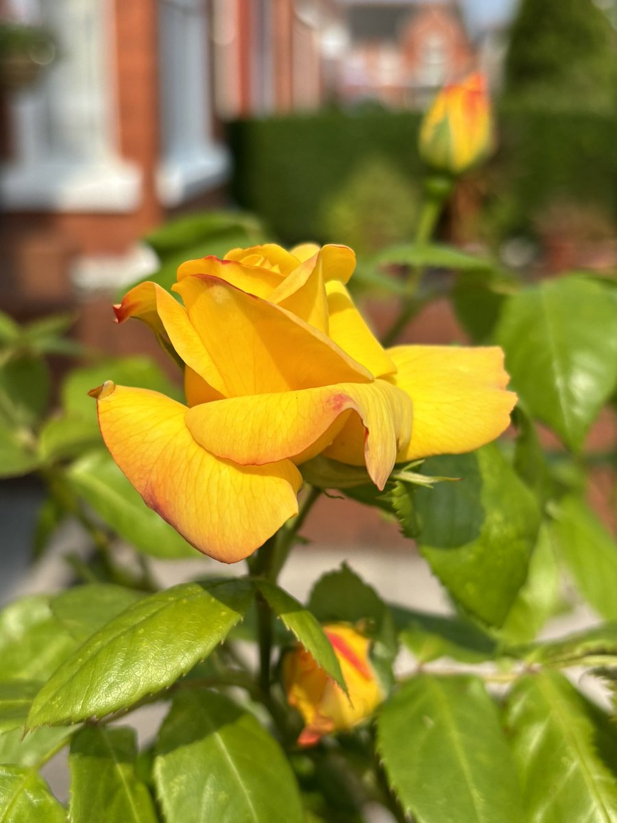 eunice_r's tweet image. 