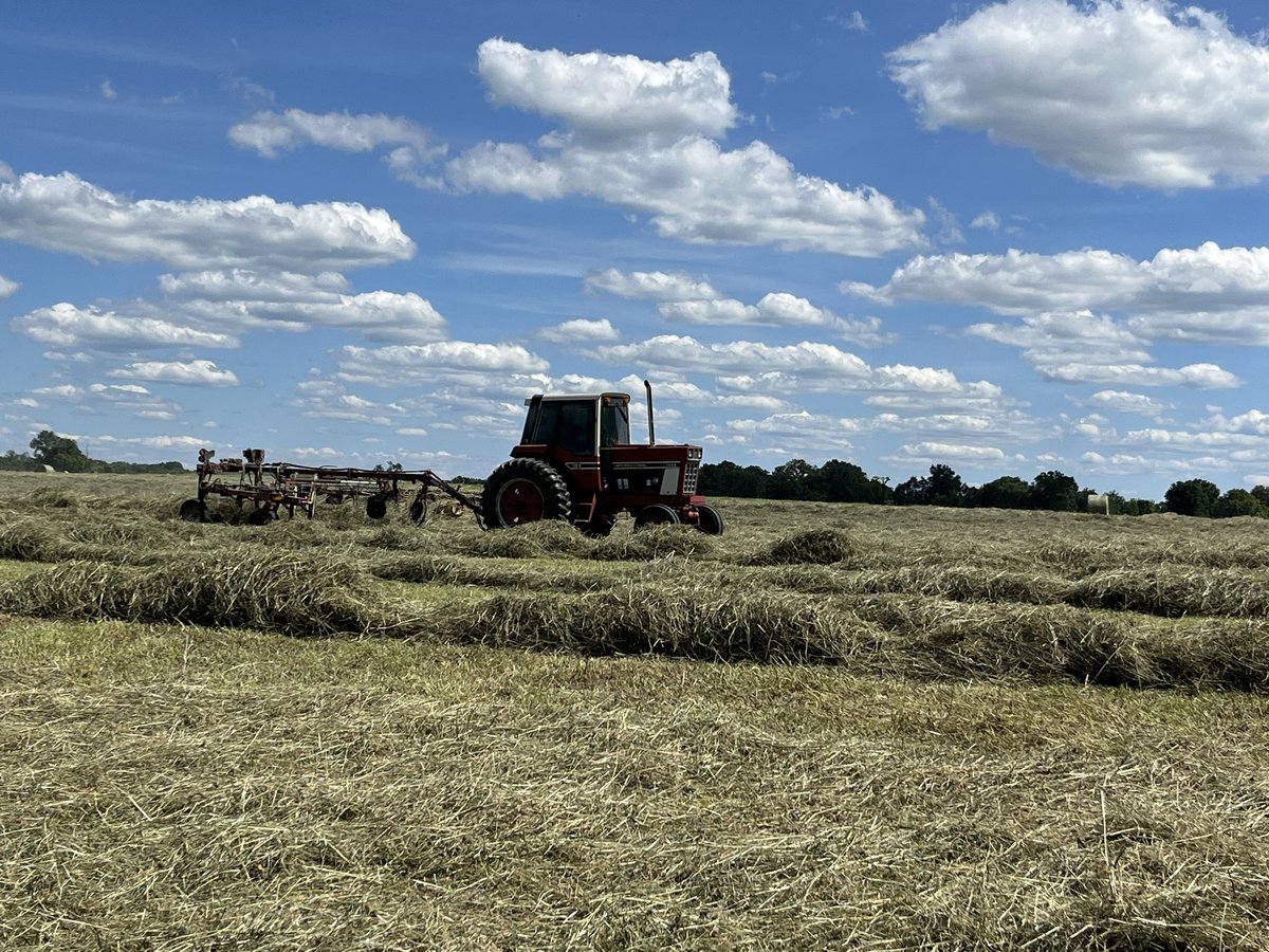 SmyrnaFFA's tweet photo. Wednesday was a fabulous day for a SAE visit in the hay field at Central Valley Farms with Smyrna FFA member, Jared Costa! #AgIsCool #OnlyOneSHS @SmyrnaBulldog https://t.co/NCVSFvSmZP