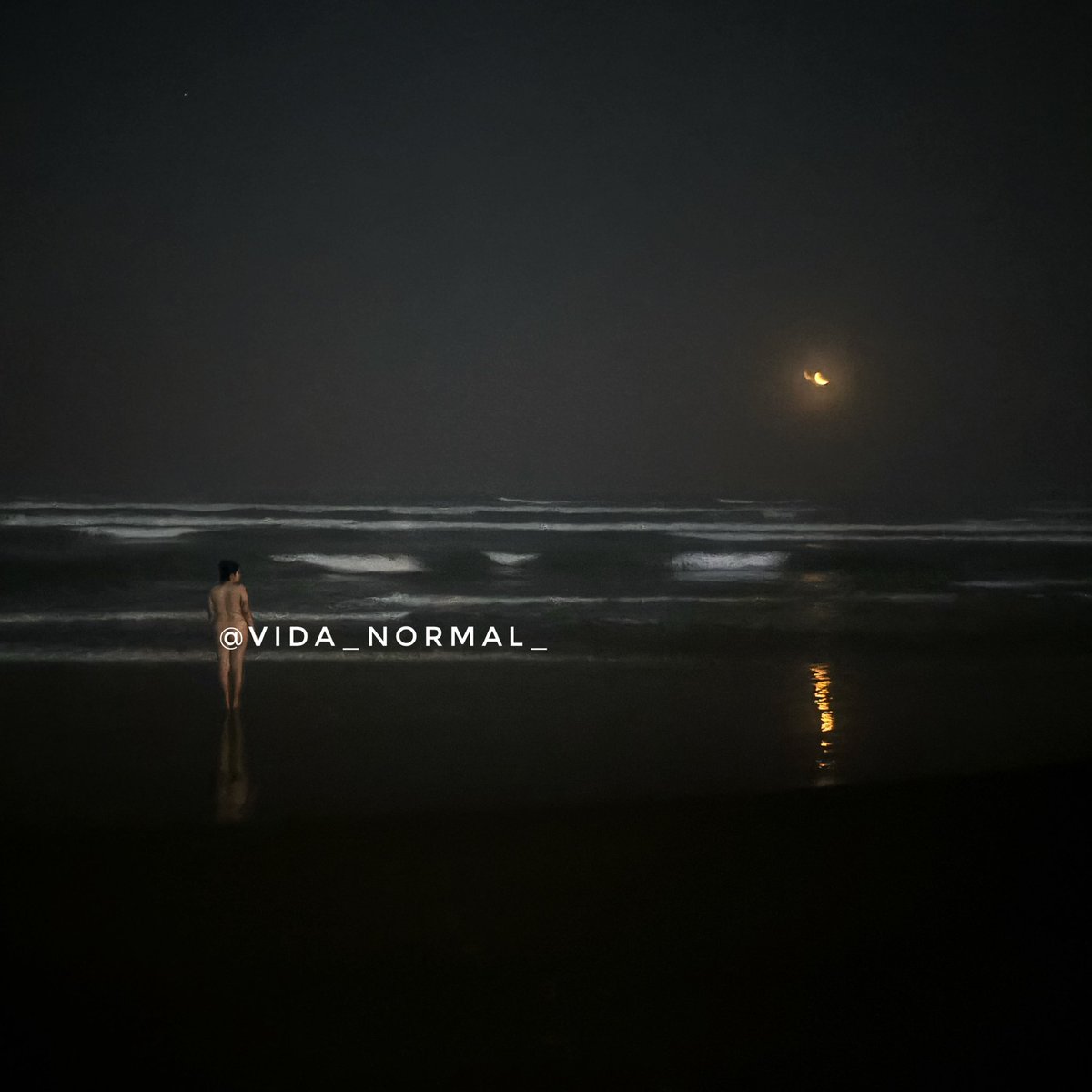 Vida_Normal_'s tweet photo. Logramos escaparnos y disfrutar un rato desnudos en el mar. 🌊✨ https://t.co/WBRCZ40sXc
