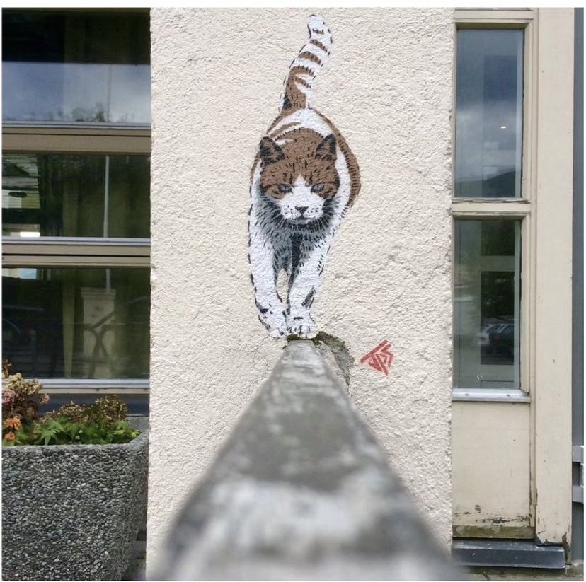lovestreetart22's tweet photo. It’s Caturday 🐈‍⬛🐈🐈‍⬛🐈 Two by JPS in Weston Super Mare, England.
#StreetArt #JPS #Caturday #WestonSuperMare https://t.co/dgq4q9JZky