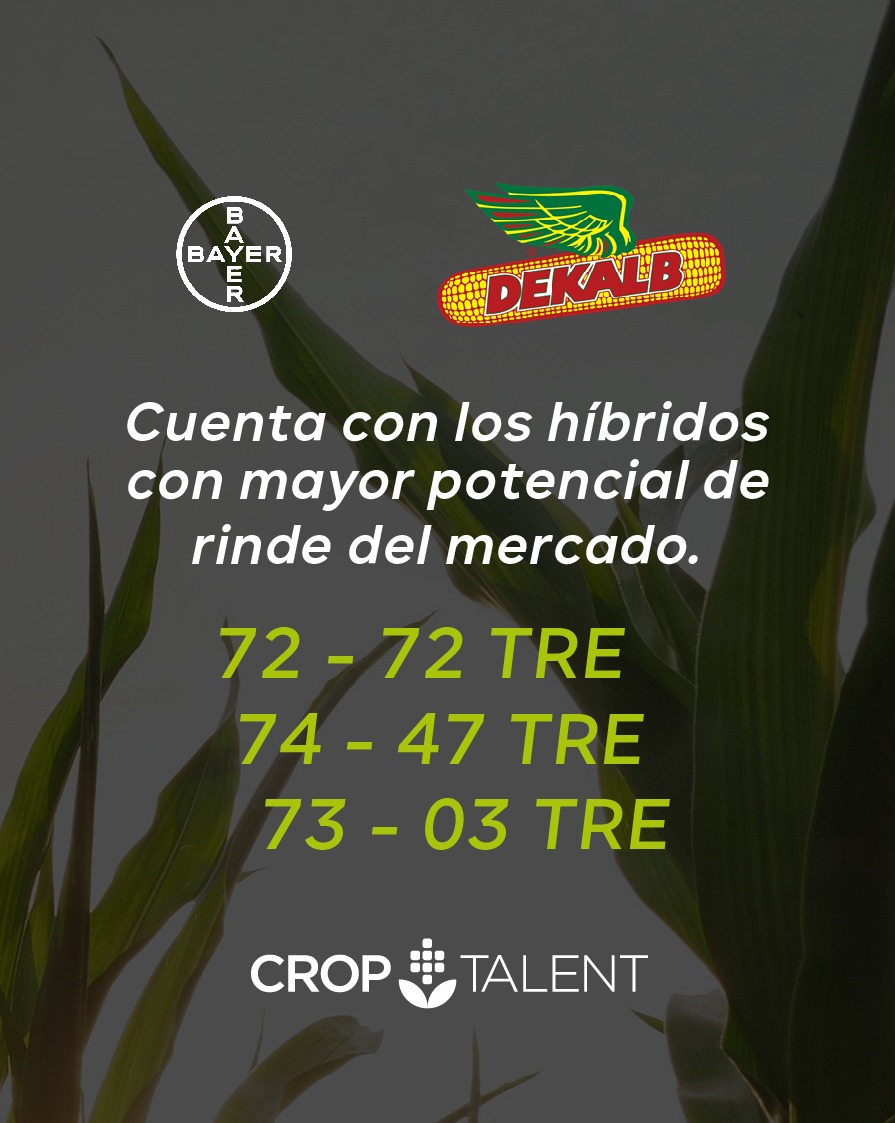Genética que marca la historia ✅
Semilla que crea futuro🌽
Si es maíz 👉 es Dekalb
<a href="/DekalbArgentina/">DEKALB Argentina</a>