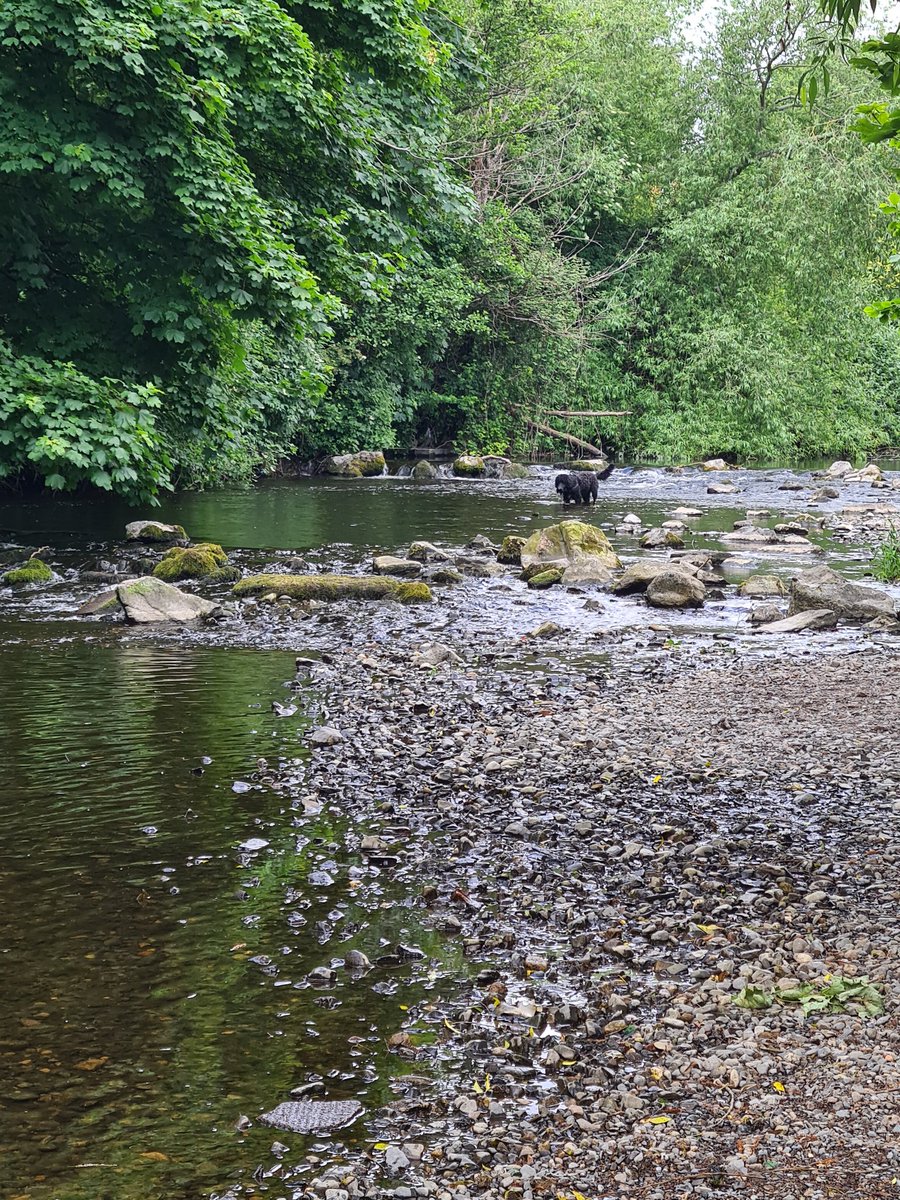jackiemartinart's tweet photo. Nice day for a walk #whitweekend https://t.co/J1PESYrYeU