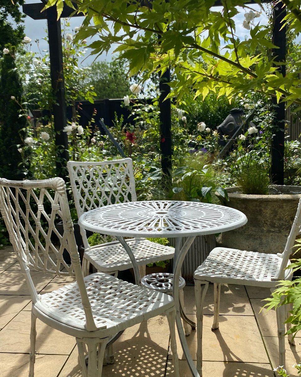 Sophie B tweet media