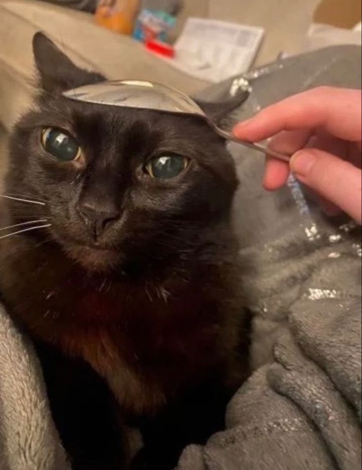 Katarzyna tweet media