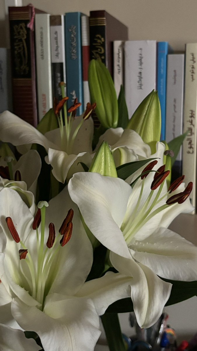 أذاكر وأراقب أوراقها تمتد♡