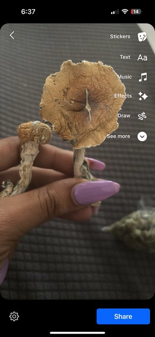 😂🔥 https://t.co/OVOPJe7QLb<a href="/tag/isis"class="tags"><span>#isis</span></a>