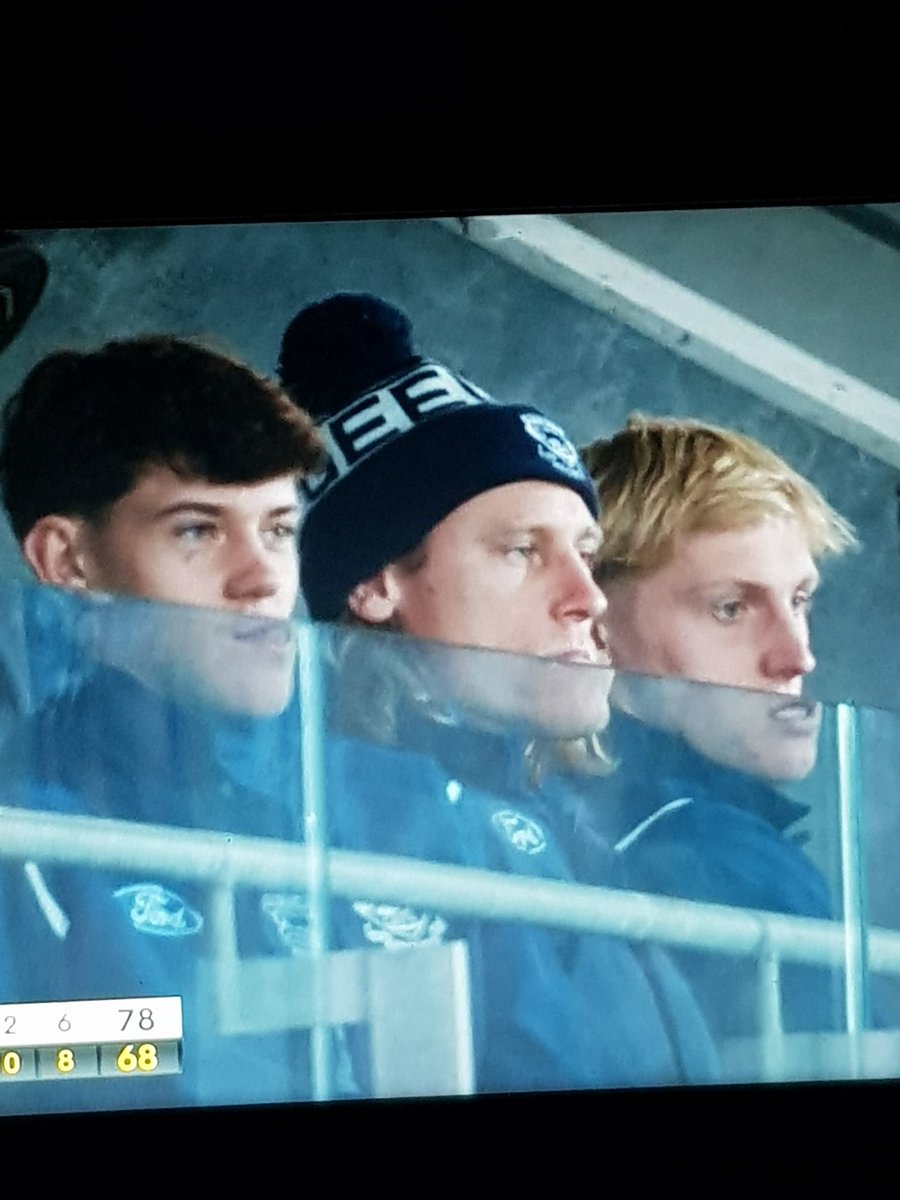 bigcatman29's tweet photo. #AFLCatsTigers https://t.co/jyQdI72xo0