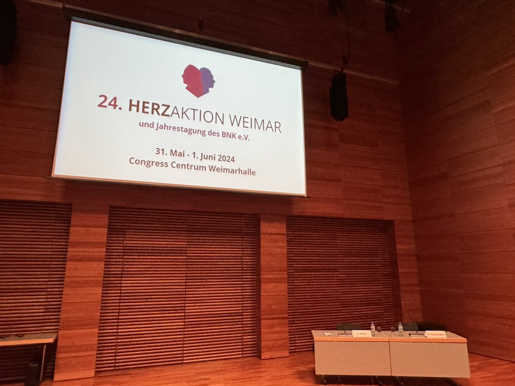 Ackermann_CC's tweet photo. Gleich startet die Session der @YoungDgk auf der #HerzaktionWeimar2024 - schaut vorbei! @StefanFrantz @LucienneReek @PetriDr #FranzHärtel @SeddingUni https://t.co/Qd2CNNeSeV