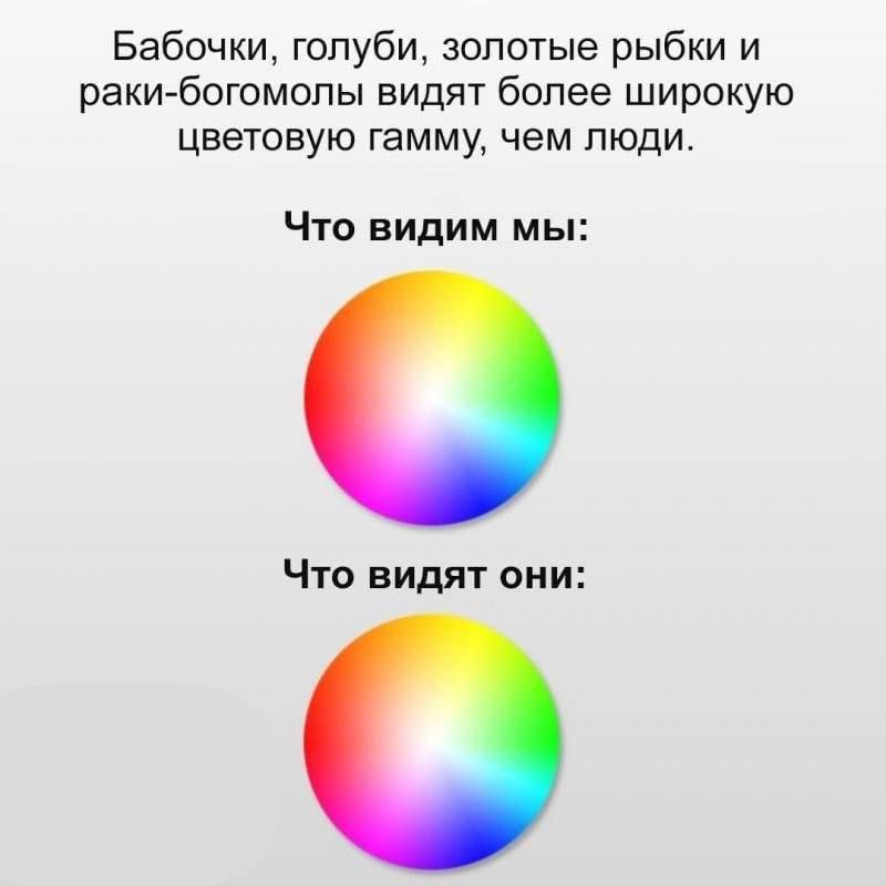 aperigator3's tweet photo. https://t.co/lVP4u8mAYv