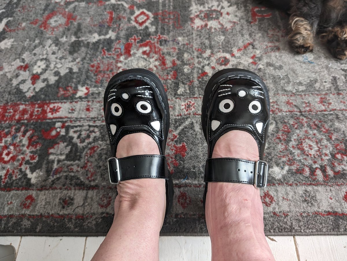 I had to take my brace off to try these on so excuse the lumpy fat right ankle. Also I won't be able to wear them til I go to a lighter brace but look how beautiful my new shoes are. And remember it's all your fault. You know who you are... #newshoes #shoes #cat #shallow #joy