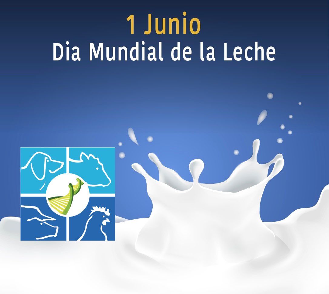 INFARVET_1's tweet photo. En @INFARVET_1  agradecemos a todos los productores de leche en este día. 

No hay leche sin su esfuerzo continuo y sin su amor por sus vacas.  

¡Gracias a todos!  🥛🥛 https://t.co/PUQAv5e9Os